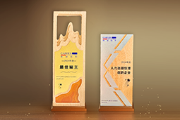 凯发K8国际国际一举斩获“2024年度中国区最佳雇主”等多项大奖